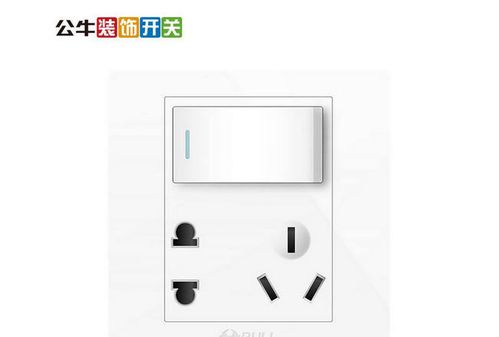 开关插座什么牌子好 家用开关插座十大排名