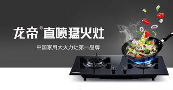 乐平龙帝厨卫电器